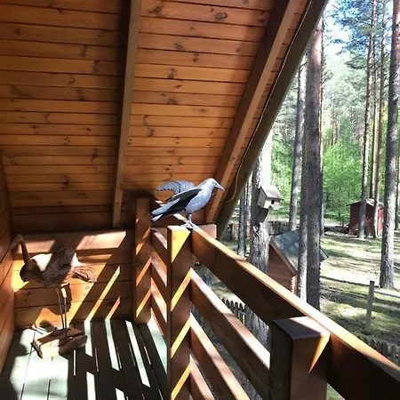 Domek Borsk Lodge *