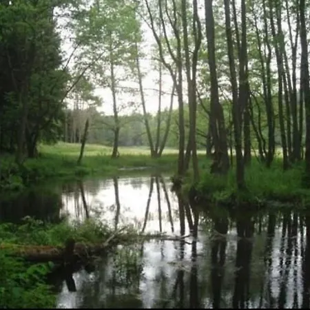 Domek Borsk Lodge Borsk