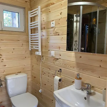 Domek Borsk Lodge