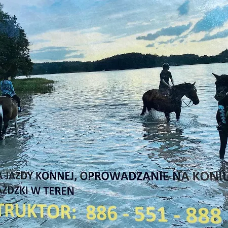 Lodge Domek Borsk Borsk