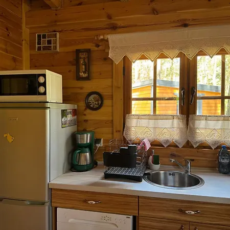 Domek Borsk Lodge