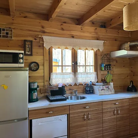 Lodge Domek Borsk