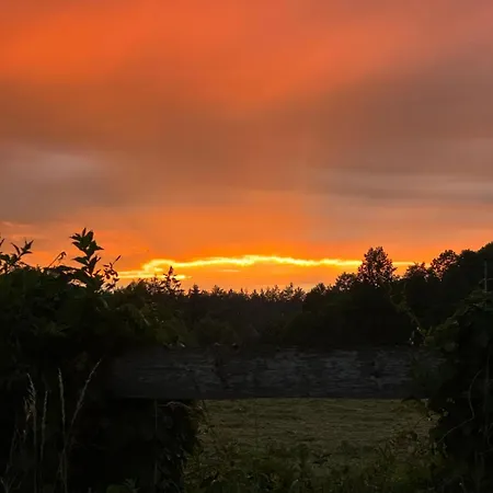 山林小屋 Domek Borsk *