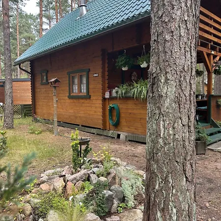 Lodge Domek Borsk